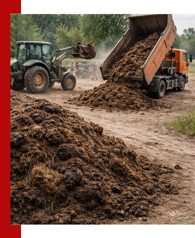 Доставка навоза самосвалами в Новотроицке для сельхозпотребностей